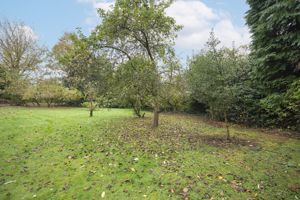 Photo 88- click for photo gallery